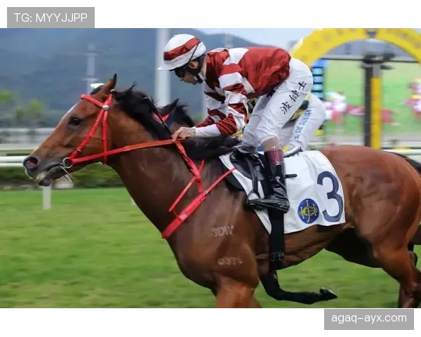 海港新赛季火力全开，强势进攻点燃争冠雄心