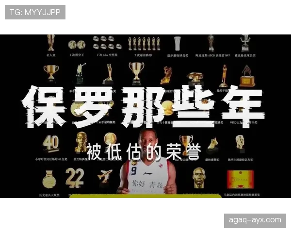 球员荣誉纪录持续提升，职业生涯成就备受关注